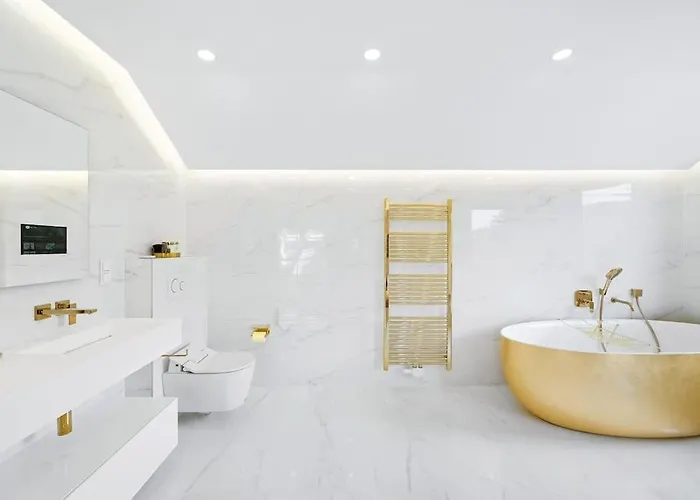 Chou Chou * 斯坦豪斯阿赛姆瑞