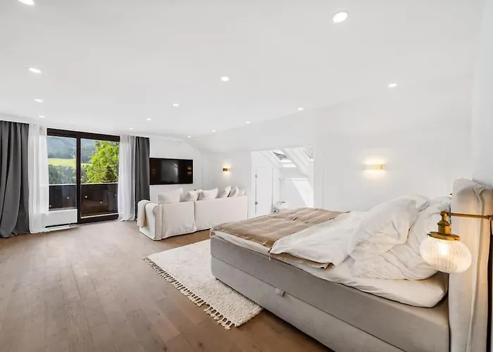 Chou Chou * 斯坦豪斯阿赛姆瑞