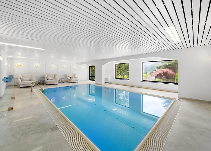 Chou Chou 斯坦豪斯阿赛姆瑞